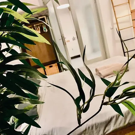 아파트 A Cozy Nest In The Old City-center *